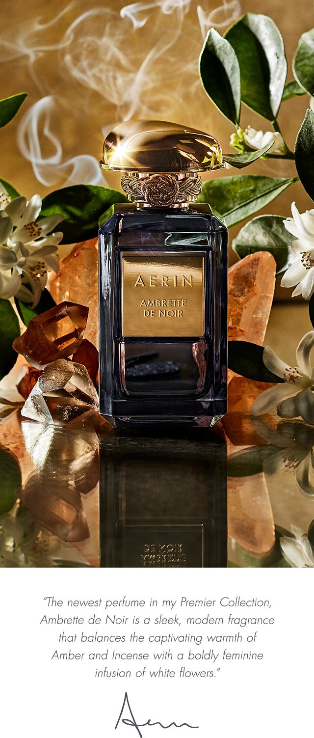 Ambrette 2025 noir aerin